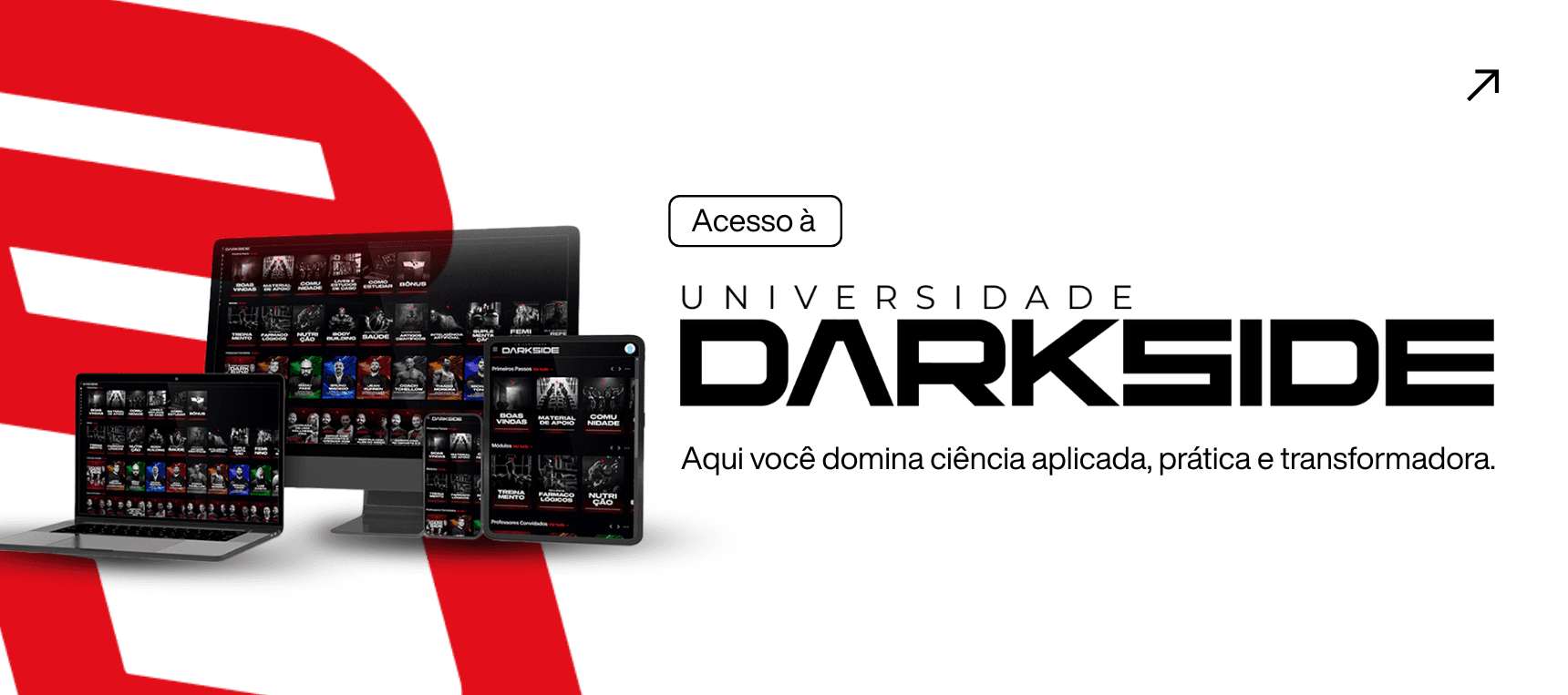 Universidade Darkside