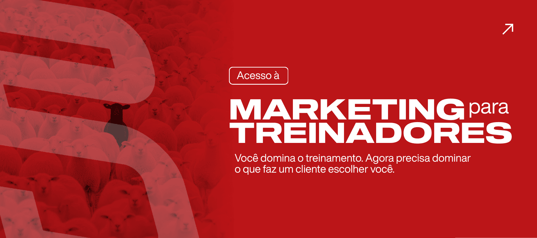 Produtos